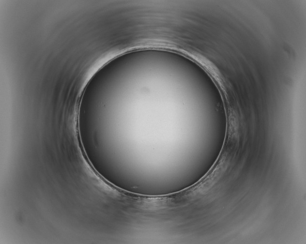 X0000113221390200909101141