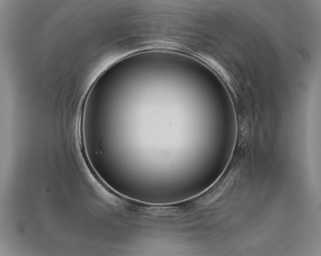 X0000113221391200909101141