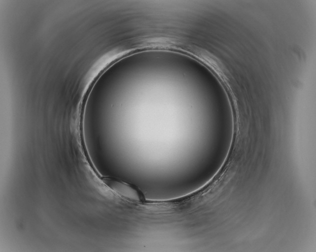 X0000113221392200909101141