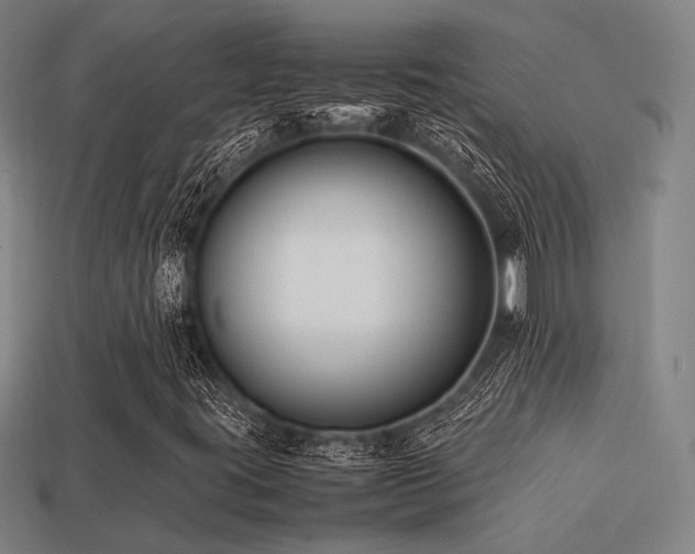 X0000113221395200909101140