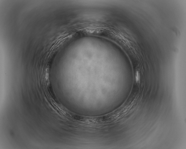 X0000113221396200909101140