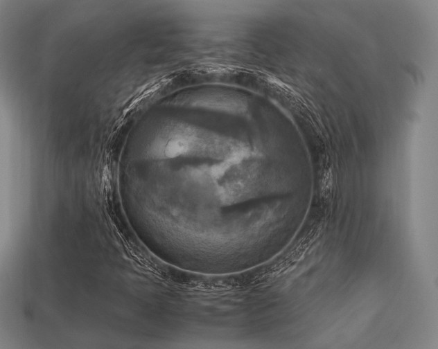 X0000113221397200909101140