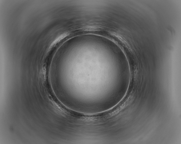 X0000113221402200909101140
