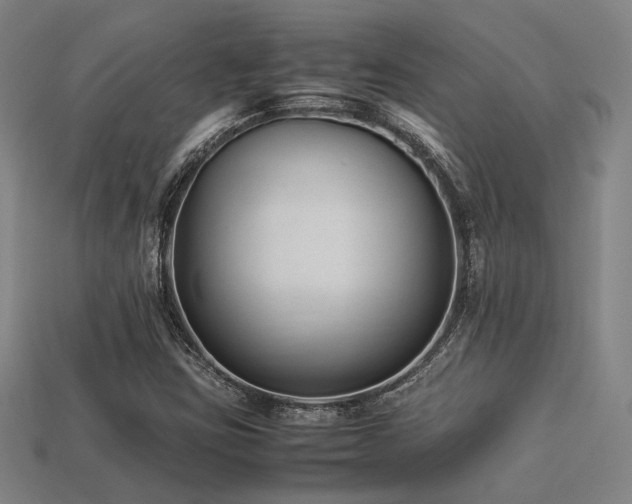 X0000113221403200909101140