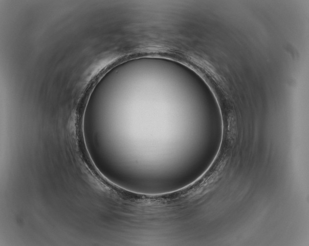 X0000113221404200909101140