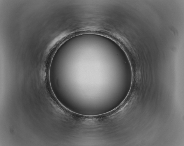 X0000113221406200909101140