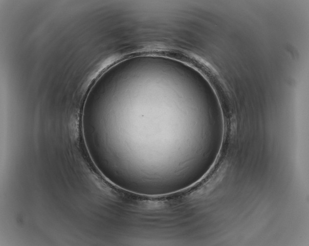 X0000113221409200909101140