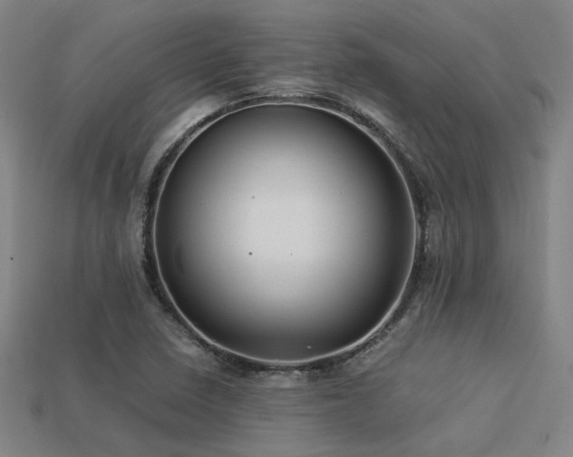 X0000113221410200909101140