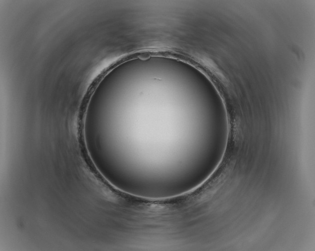 X0000113221412200909101140