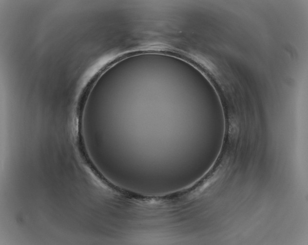 X0000113221414200909101140
