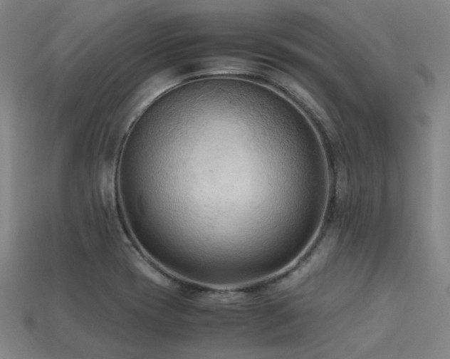 X0000113221417200909101141