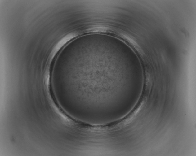 X0000113221418200909101141