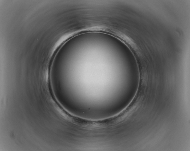 X0000113221420200909101141