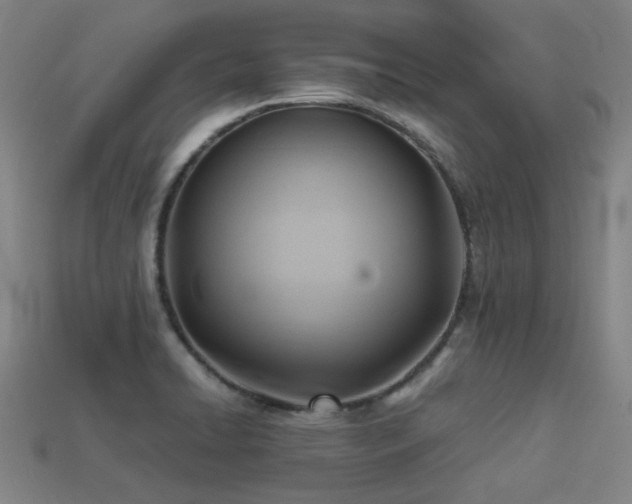 X0000113221422200909101141