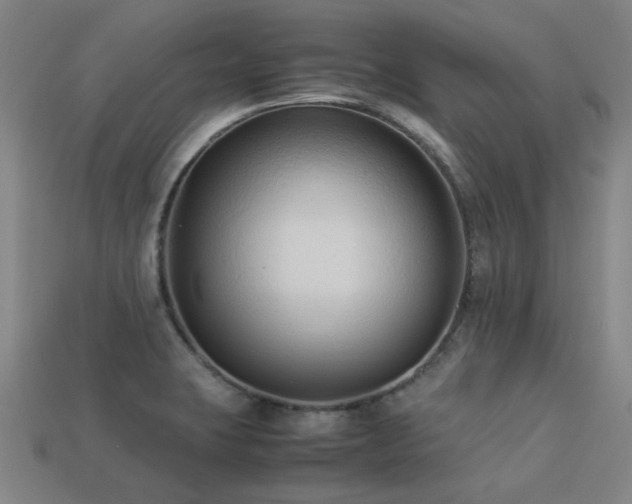 X0000113221423200909101141