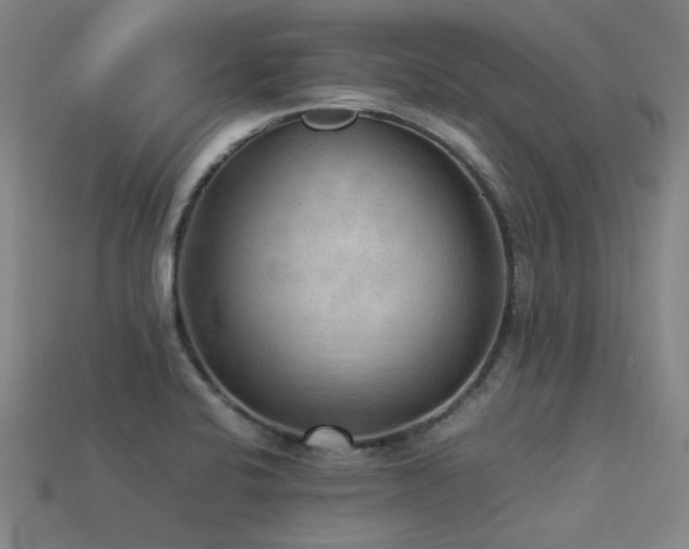 X0000113221424200909101141