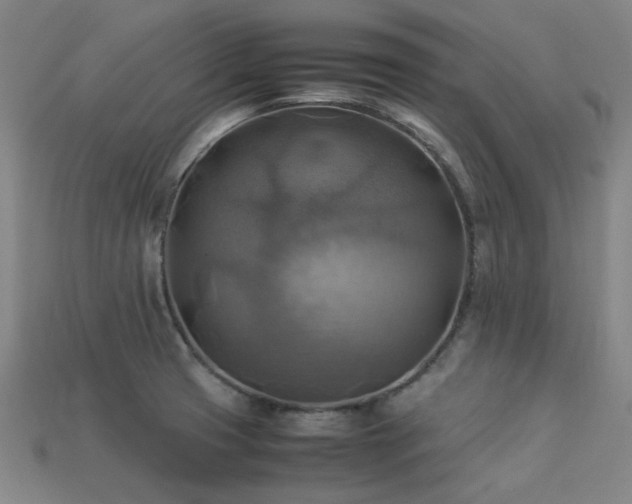 X0000113221425200909101141