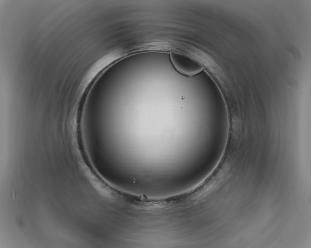 X0000113221426200909101141