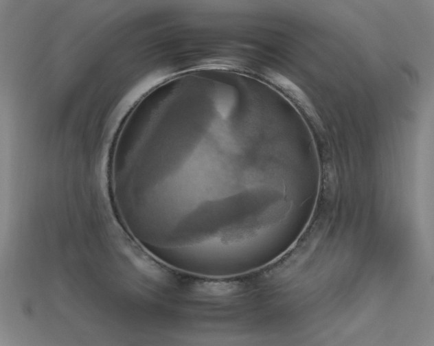 X0000113221427200909101141