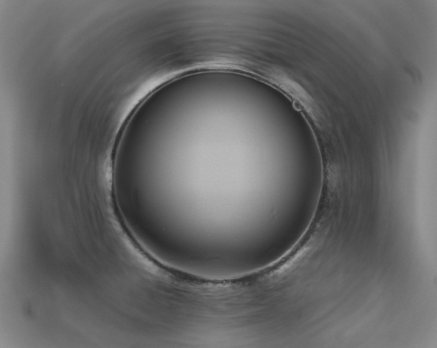 X0000113221428200909101141