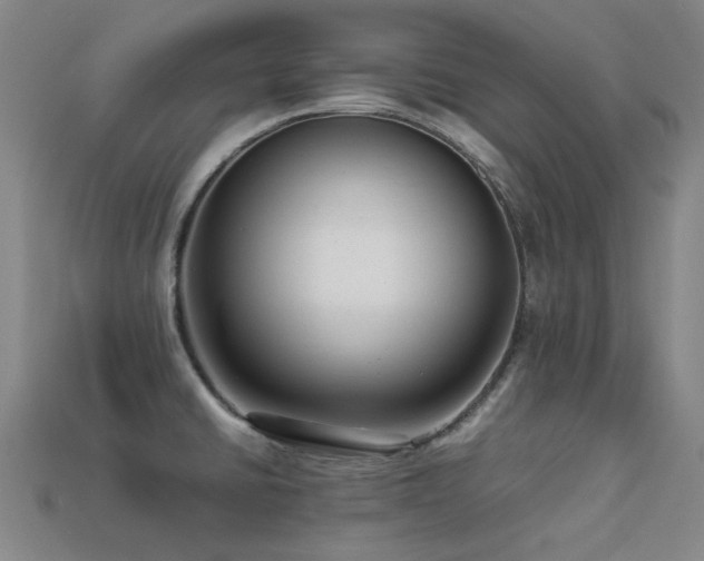 X0000113221430200909101141