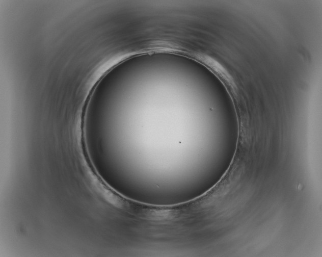 X0000113221431200909101141