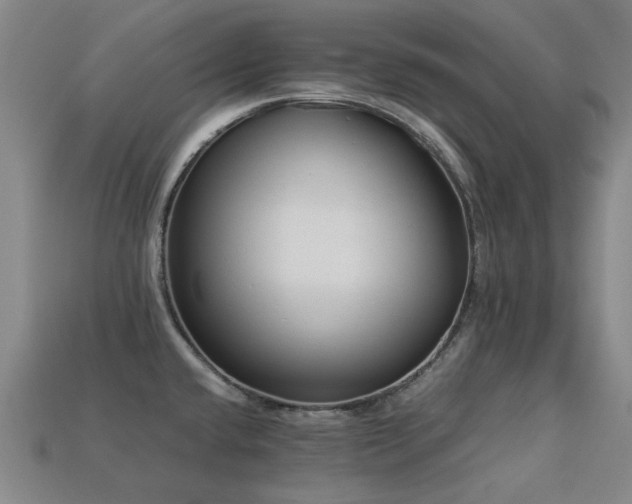 X0000113221432200909101141