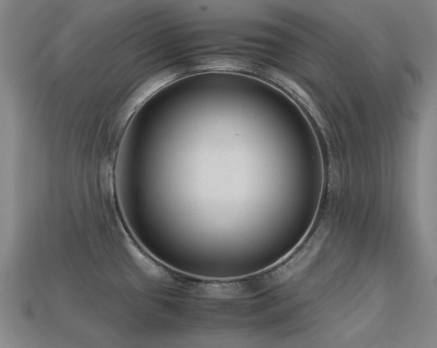 X0000113221433200909101141
