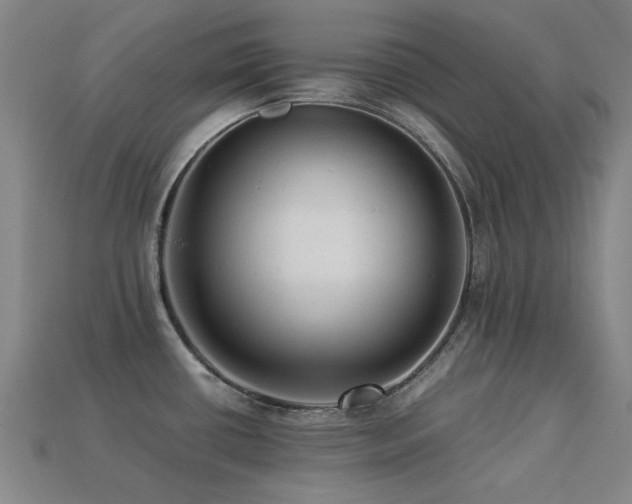 X0000113221434200909101141