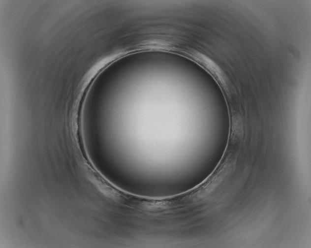 X0000113221435200909101141