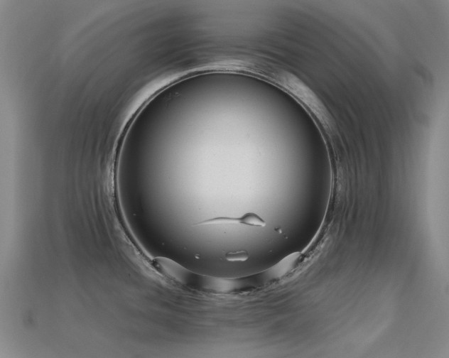X0000113221436200909101141