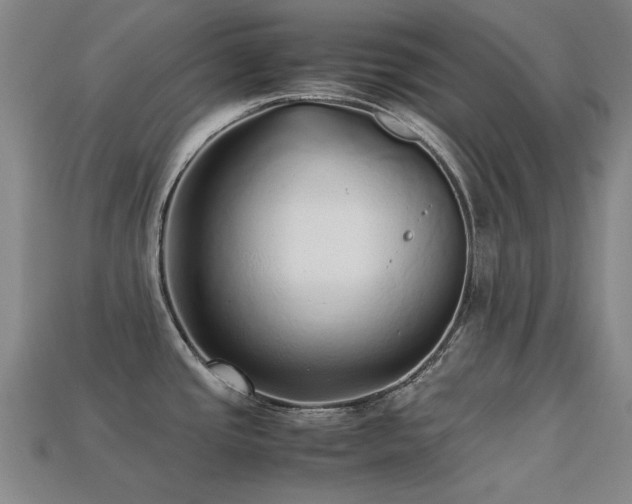 X0000113221437200909101141
