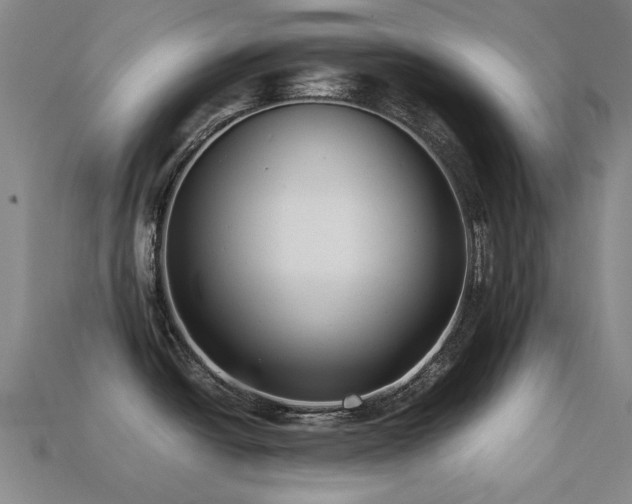 X0000113221438200909101141