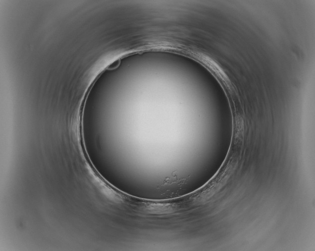 X0000113221439200909101141