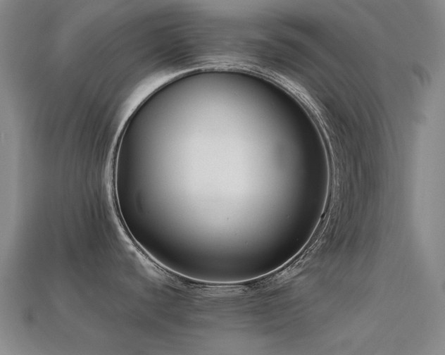 X0000113221440200909101141