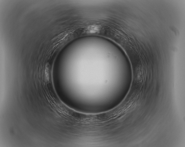 X0000113221442200909101140