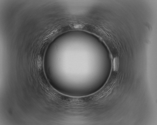 X0000113221443200909101140