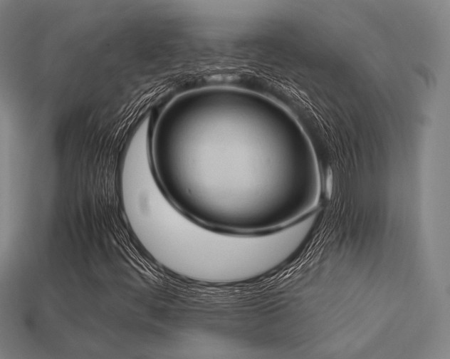 X0000113221444200909101140