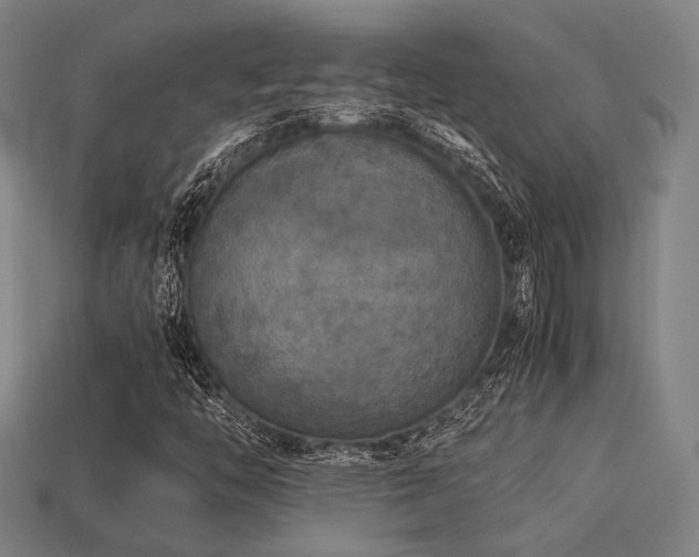 X0000113221446200909101140