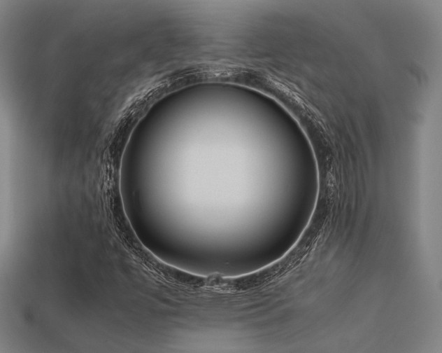 X0000113221447200909101140