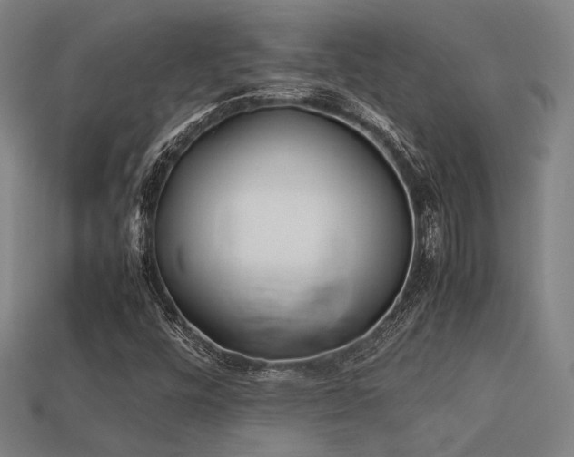 X0000113221448200909101140