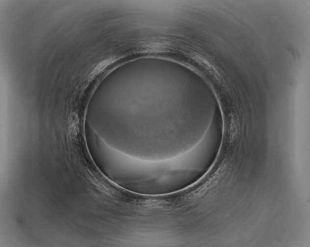 X0000113221449200909101140