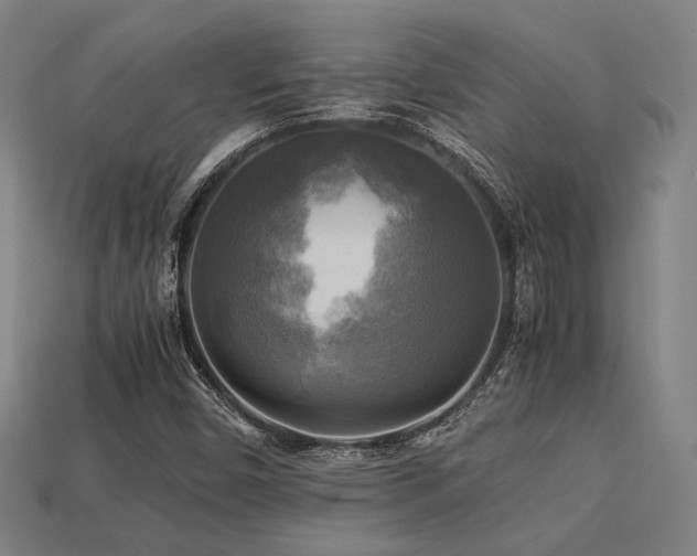 X0000113221450200909101140