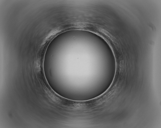 X0000113221451200909101140