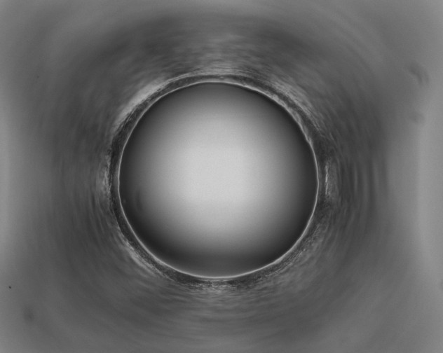X0000113221452200909101140