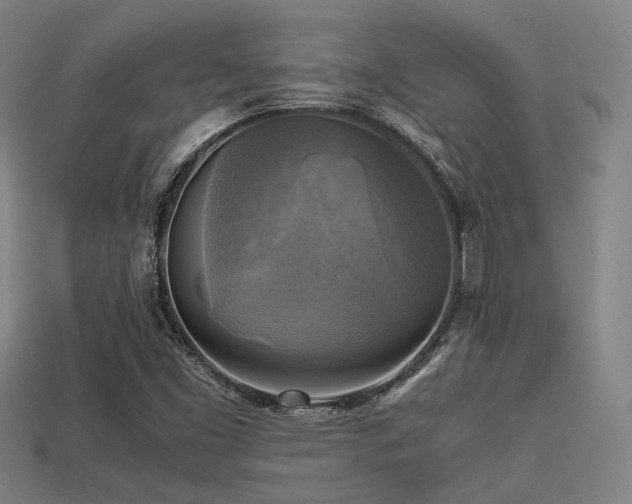 X0000113221453200909101140