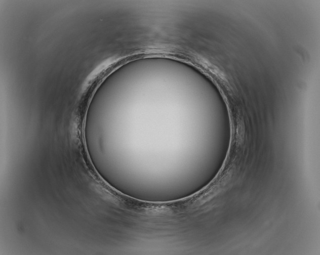 X0000113221454200909101140