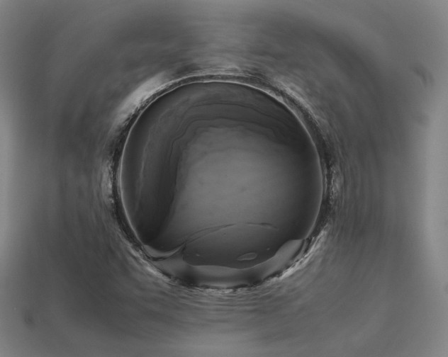 X0000113221455200909101140