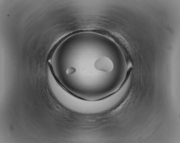 X0000113221457200909101140