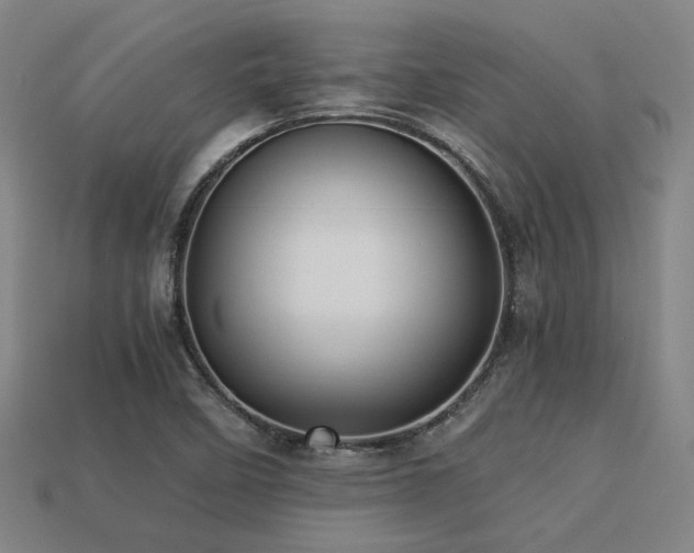 X0000113221458200909101140